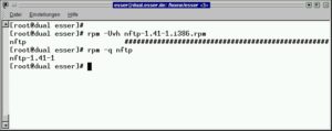 Abbildung 7: Schnelle Paket-Installation und -Abfrage im Terminal-Fenster