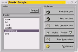 Abbildung 7: Feldeigenschaften bearbeiten.