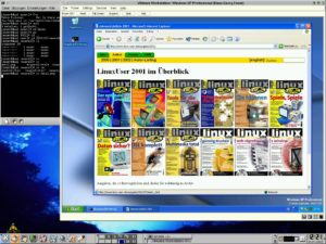 Abbildung 8: Wenn die Verbindung steht, lässt sich auch die LinuxUser-Homepage in XPs Internet Explorer aufrufen