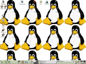 Abbildung 9: Tux - eine Zierde für jeden Desktop