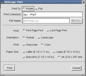 Abbildung 9: … und Netscape