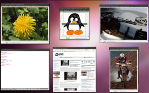 Compiz Plugin Scale - Alle Fenster übersichtlich dargestellt