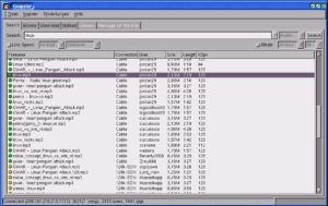 File Sharing im Internet mit dem gnapster-Client