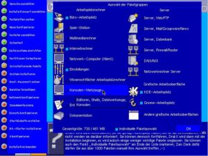 Anschließend können Sie vordefinierte Auswahlen zusammenstellen, und diese noch über die "Individuelle Paketauswahl" verfeinern