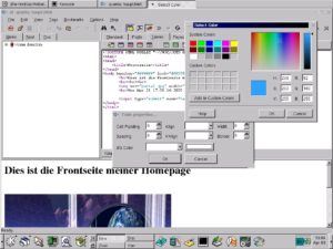 Nur das KDE-Projekt Quanta Plus besitzt eine interne Preview-Funktion.