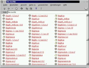 Vorteil bei Linux: Die Dateinamen von Bibliotheken enthalten immer auch die Versionsnummer – so können mehrere Versionen einer Bibliothek gleichzeitig installiert sein, ohne sich gegenseitig zu beeinflussen
