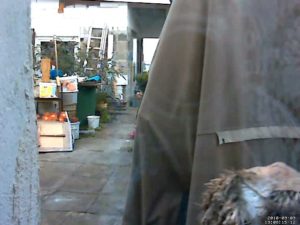 Abbildung 2: Unbewegliche Teile des Bildes schließen Sie…