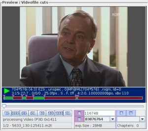 Abbildung 3: Über den horizontalen Schieberegler scrollen Sie im Stream, über die Schalter mit den Plus- und Minus-Zeichen setzen Sie die Schnittmarken.