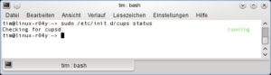 Abbildung 5: Der Parameter <code srcset=