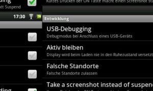 Abbildung 5: Unter den Anwendungseinstellungen von Android befindet sich auch eine Option für Screenshots. Das Resultat ergibt allerdings ein Puzzle, keinen fertigen Screenshot.