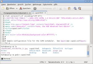 Abbildung 2: Gedit blendet auf Wunsch am unteren Fensterrand ein kleines Terminal ein, in dem Sie Shell-Befehle absetzen können.