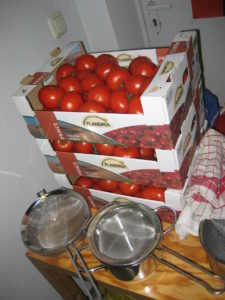Abbildung 6: Bitte blanchieren und schälen: So sehen 18 Kilogramm Tomaten aus.