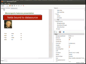 Die Vorversion von Monoreports besitzt bereits ein funktionierendes GUI zum Erstellen von Berichten per Drag-and-Drop.