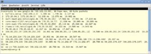 Abbildung 3: Das Programm "traceroute" ermittelt, über welche IP-Router die Datenpakete bis zum Zielhost wandern.