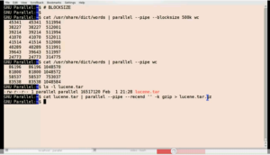 Ein Screencast zeigt den Einsatz des neuen Pipe-Modus von GNU Parallel.
