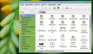 Abbildung 2: Mit ein paar Handgriffen und einem Texteditor färben Sie die linke Seitenleiste des Gnome-Dateimanagers ein.
