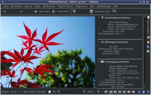 Abbildung 6: Über die "Designs" im Digikam-Einstellungsmenü verändern Sie das Aussehen der KDE-Fotoverwaltung.