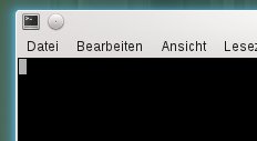 Abbildung 2: Das absolut sichere Terminal zeigt nicht einmal eine Eingabeaufforderung an.