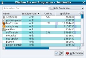 Abbildung 2: Im Prozessfenster wählen Sie ein aktives Programm aus.