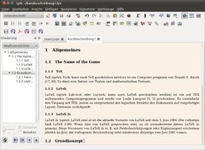 Abbildung 6: LyX nummeriert Kapitel und Unterkapitel automatisch durch, bei TeXmacs geschieht dies erst in der Ausgabe.
