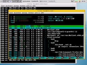 Abbildung 2: Htop visualiert die Systemlast.