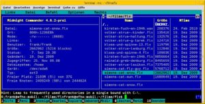 Abbildung 5: Der Midnight Commander liefert detaillierte Angaben über viele Dateiattribute.