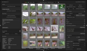 Abbildung 1: Darktable startet im Leuchttischmodus und ermöglicht so einen Überblick über die vorhandenen Aufnahmen.