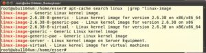 Abbildung 1: Mehrere Kernel zur Auswahl bei Ubuntu – meist fahren Sie mit "generic"-Kerneln am besten.