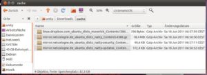 Abbildung 3: Es ist möglich, mit "apt-file" einen privaten Cache im eigenen Home-Verzeichnis zu erstellen und auf "sudo" zu verzichten.