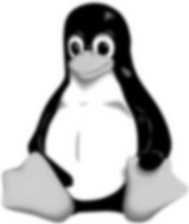 Abbildung 4: Tux gefaltet mit einem Gauß-Kernel (12x12).