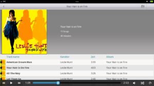 Abbildung 4: Funktional und wenig spekakulär: Der Audioplayer von MeeGo.