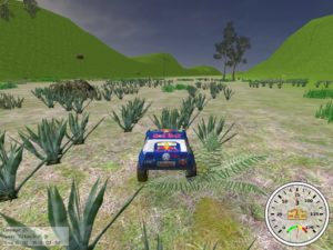 Abbildung 5: Dakar 2010: Diese Grasbüschel sehen gefährlich aus, können aber einfach überfahren werden.