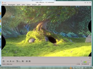 Abbildung 7: Kleine Spielerei: Mit VLC legen Sie verschiedene Filter über Filme, die Sie abspielen. Im Bild zu sehen ist ein Welleneffekt unter OpenSuse 11.4.