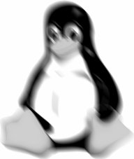 Abbildung 9: Tux bewegt mit einem Motion-Blur-Kernel.
