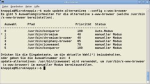 Abbildung 3: Mit dem Befehl "sudo update-alternatives --config x-www-browser" definieren Sie einen neuen Standardbrowser unter Knoppix.