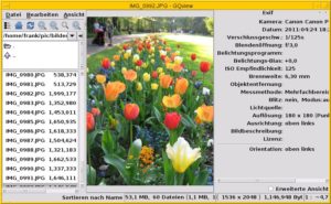 Abbildung 3: Gqview/Geeqie stellt das Bild und dessen Exif-Daten dar.