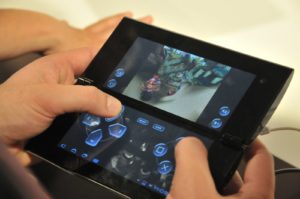 Sonys Tablet P erinnert optisch an ein Brillenetui und sticht nicht nur damit wohltuend aus dem Tablet-Einerlei hervor.