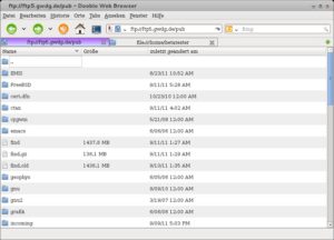 Abbildung 2: Der FTP-Client beherrscht die grundlegenden Funktionen dieses Netzwerkprotokolls.