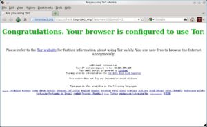 Abb. #: Die Startseite des Bundle-Browsers Aurora beweist es: Im Augenblick surfen Sie über Tor, Ihre eigene IP-Adresse ist damit verschleiert.
