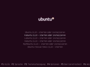 Abbildung 1: Am Boot-Screen der DVD wählen Sie, welcher der sechs "Oneiric"-Varianten Sie starten möchten.