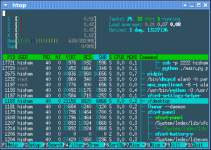 Der Prozessmonitor Htop malt seine Oberfläche in Version 1.0 mit UTF-8.Zeichen.