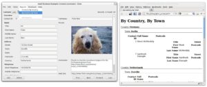 Mit dem GTK-basierten Glom lassen sich Datenbanken und zugehörige Benutzeroberflächen komfortabel aufsetzen. (Bild: Glom.org)