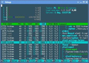 Der Prozessmonitor Htop erzeugt seine Oberfläche in der Version 1.0 mit UTF-8-kodierten Zeichen. (Bild: Htop.org)