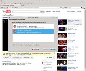 Abbildung 2: Service komplett: Der Plug-in-Finder von Firefox bietet neben dem freien Flash Player Gnash auch die Adobe-Variante an und spielte im Test beide problemlos ein.