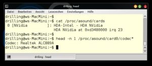 Abbildung 4: Bei der Sound-Unterstützung des im Mac Mini verbauten Realtek ALC889 muss wir etwas nachhelfen, damit Alsa das richtige Modul lud.