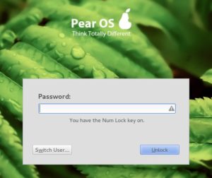 Abbildung 10: Num-Lock gedrückt? Nein, hab ich nicht! Viele kleine Fehler trüben den Spaß an Pear OS.