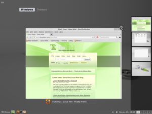 Abbildung 10: Derzeit kennt Cinnamon noch den <code srcset=