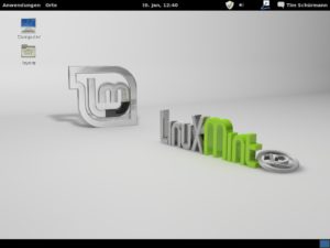 Abbildung 11: Auch wenn es wie Gnome 3 aussieht, handelt es sich hier um Cinnamon im Fallback-Modus.