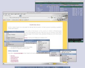 Abbildung 3: Als grafische Oberfläche nutzt Grml den Window-Manager Fluxbox.