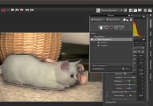 Abbildung 4: Ähnlich wie Gimp oder Photoshop bietet AfterShot Pro das Anlegen von Ebenen an, die es erlauben, nur bestimmte Partien der Aufnahme zu bearbeiten.